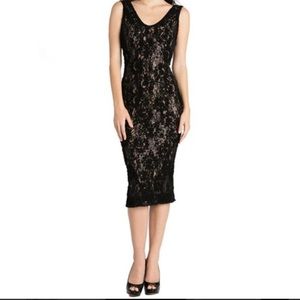 LBD Subtle Sequined Lace Dress